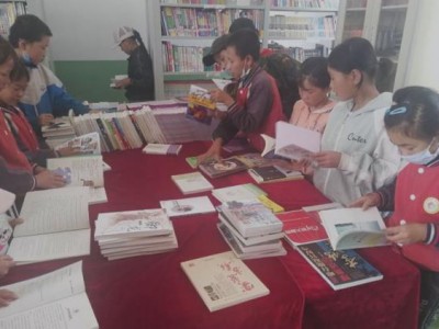 2020年度520爱心图书室项目执行报告