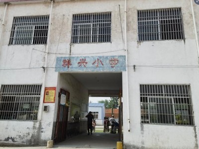渴望生命之源执行报告