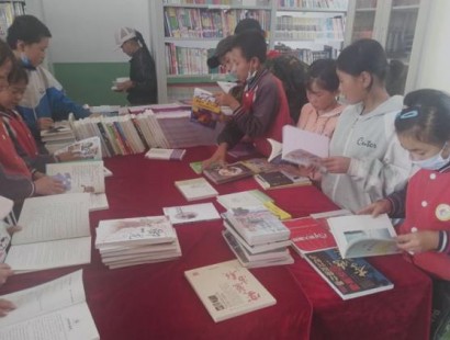2020年度520爱心图书室项目执行报告