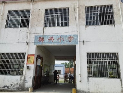 渴望生命之源执行报告